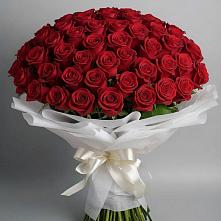 Букет 101 Красная роза Блэк Мэджик в Макеево