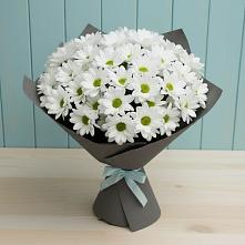 Букет цветов из:  Хризантемы #REPLACE_PRED# Макеево