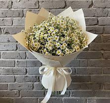 Букет цветов из:  Ромашки в Макеево