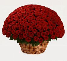 Премиум букет из: Розы в Макеево